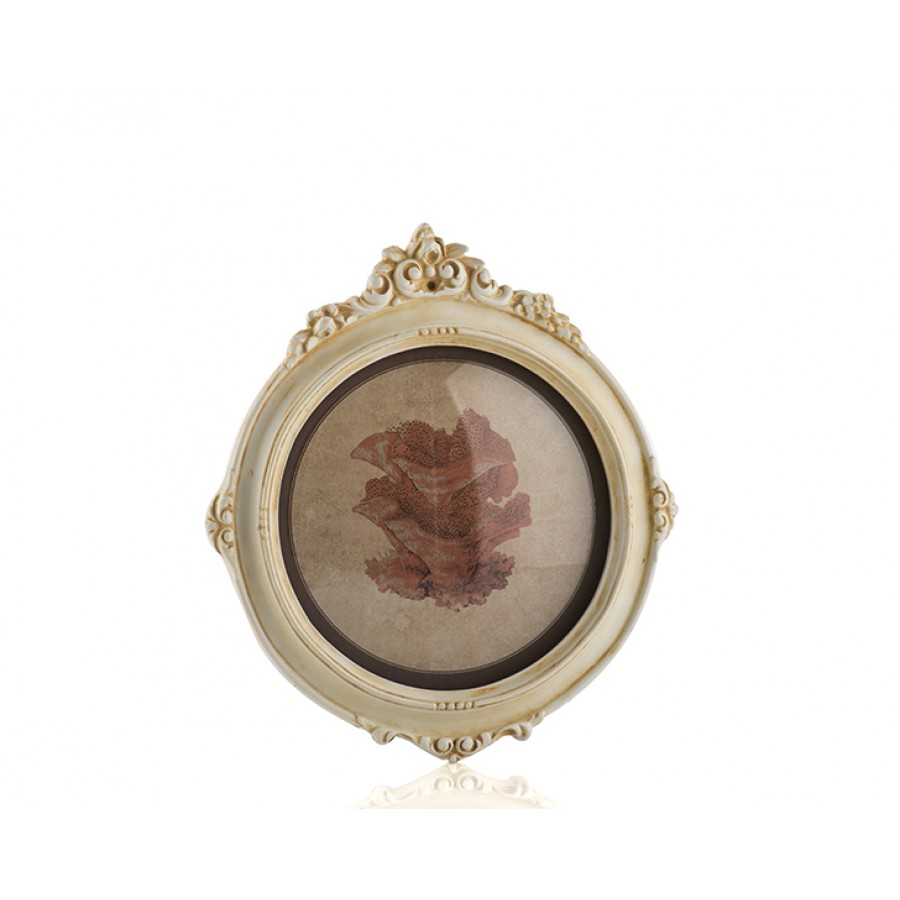 PR30-1077 - Krem Çerçeveli Çiçek Resimli Pano 22*20